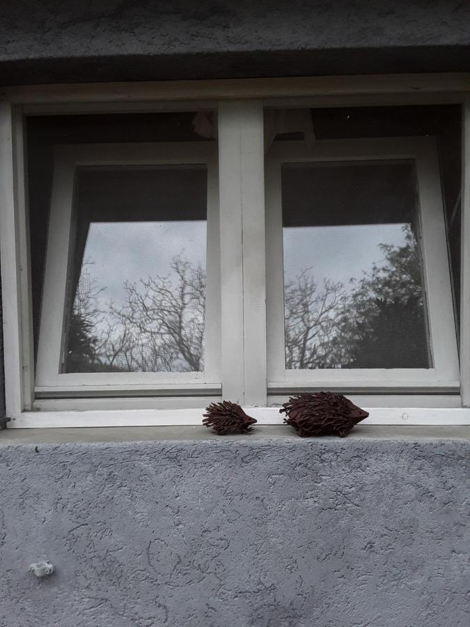 Bed and Breakfast L'Albero Di Alberto Valverde  Exterior foto